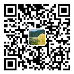 凤凰彩票网站官网入口